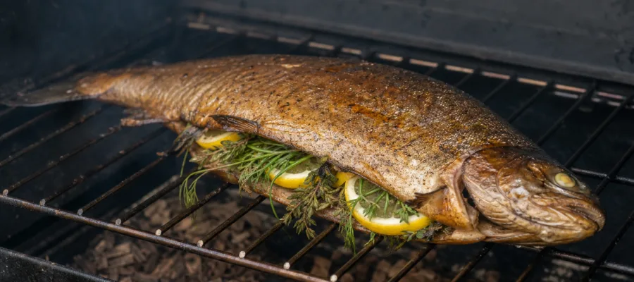 Smoker Forelle mit Kraeuterfuellung und Zitronenscheiben